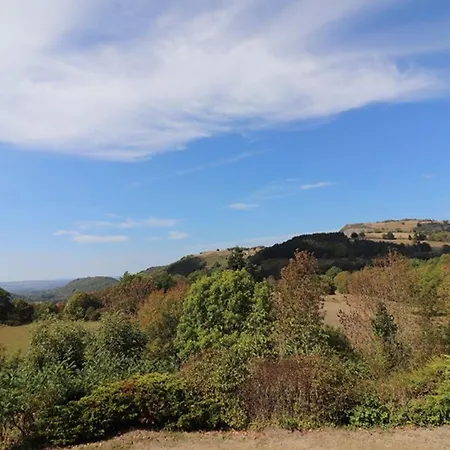 Chalet 60m² Avec Garage, 2 Ch., Cheminee, Jardin Prive & Bbq, Cantal - Fr-1-742-155 Saint-Etienne-de-Chomeil