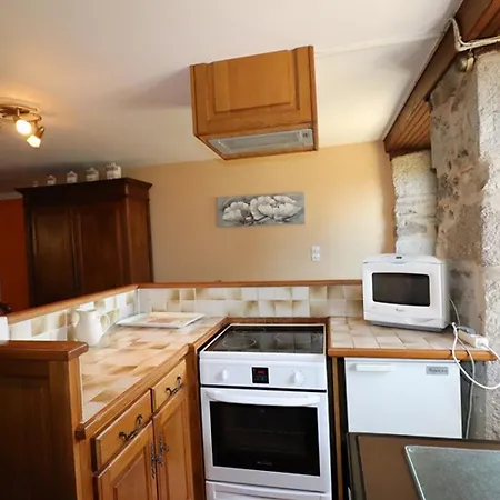 Chalet 60m² Avec Garage, 2 Ch., Cheminee, Jardin Prive & Bbq, Cantal - Fr-1-742-155